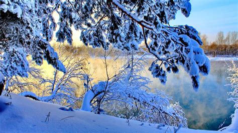 Snow Nature Trees Lake Winter Coolwallpapersme