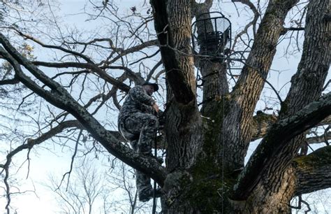 Favorite Deer Stand Location Whitetail Habitat Solutions