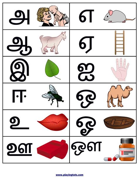 Total Tamil Letters