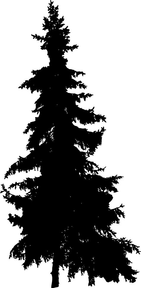 Tree Sihouette Png
