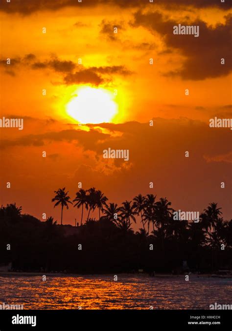 Tropical Sunset Stock Photo Alamy