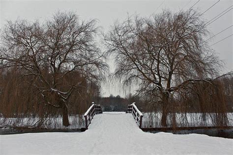 This was created by mirroring a half object across the xz plane to represent reflection symmetry. 30 Amazing Examples of Symmetry in PhotographyCreative Can