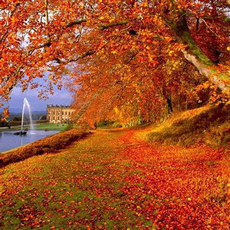 10 Most Popular Free Autumn Wallpaper For Computer Full Hd 1920×1080