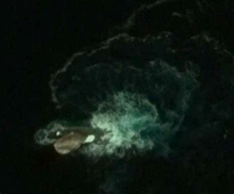 'nessie' speculation rife as mysterious creature spotted in london (video, poll). Is the Google Earth Kraken photo really a Sea Monster ...