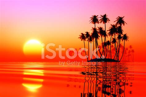 Coconut Islands At Pink Sunset Stock Photo Royalty Free Freeimages