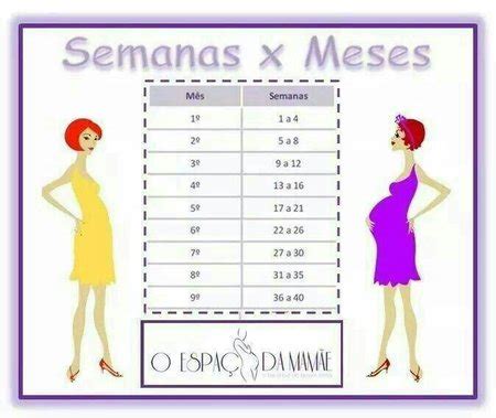 Na semana 28 e 29 é mais notorio a transformação perform corpo da mamãe e ela mesma começa a apreciar 27 semanas são quantos meses de gravidez? 25 semanas e 4 dias são quantos meses? - Novembro de 2014 ...
