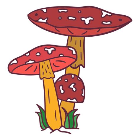 Amanita muscaria mushroom illustration - Transparent PNG & SVG vector file png image