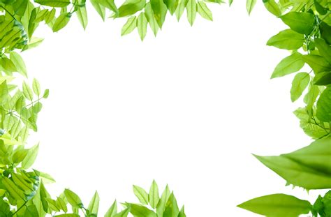 Green Leaves, leaf page border | Green leaf wallpaper, Green leaves, Leaf clipart