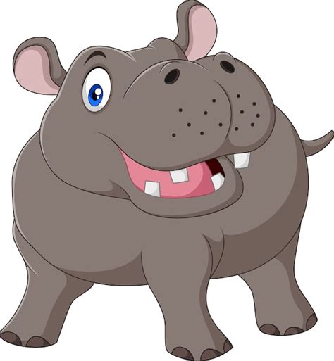 Dibujos Animados De Hipopótamo Divertido Aislado Sobre Fondo Blanco