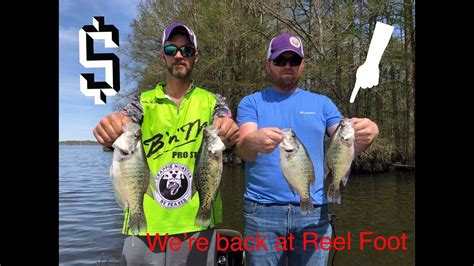 Reelfoot Part 2 Crappie Fishing 2019 Youtube