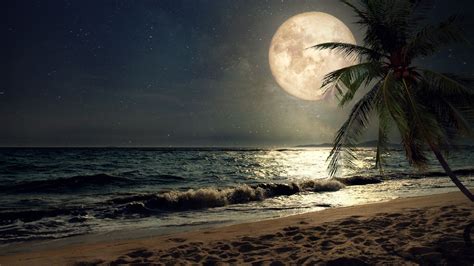 Desktop Wallpaper Beach Sand Nights Moon Palm Tree