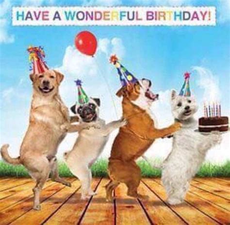 Pin By Ieva Bu On Happy Birthday Happy Birthday Dog Happy Birthday