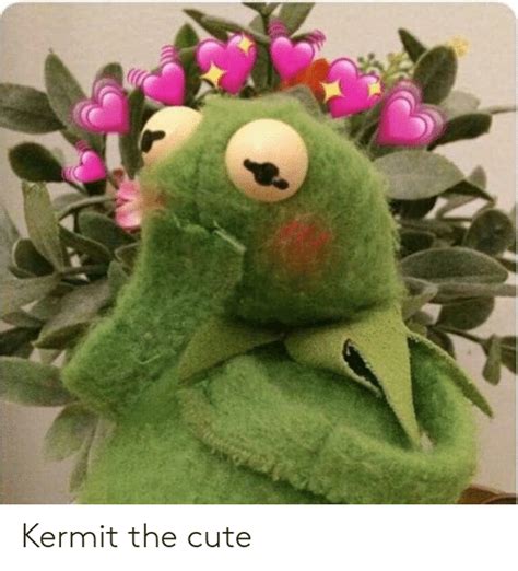 25 Best Looking For Cute Memes Kermit Romance Movies