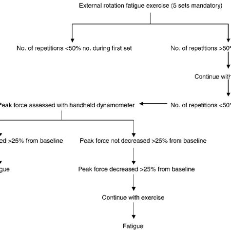 Flowchart Summarizing The Fatigue Protocol Download High Quality