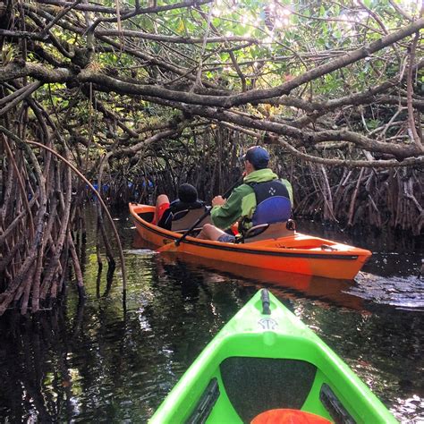 Tours — Everglades Kayak Tours Shurr Adventures Kayak Tours