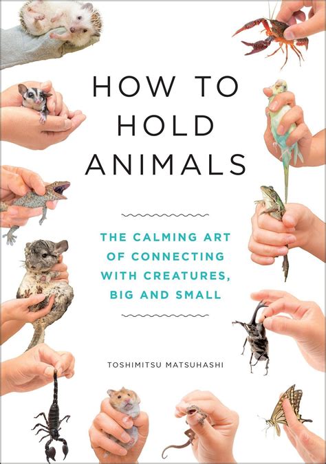 How To Hold Animals Buch Versandkostenfrei Bei Weltbildde Bestellen