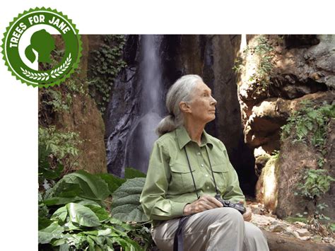 Wea Partners With Jane Goodall To Protect Forests And Our Future