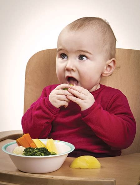 Why To Practice Baby Led Weaning The Green Parent
