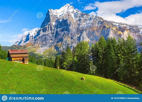 Grindelwald Suiza Aldea Y Montañas Vista Foto De Archivo Imagen De