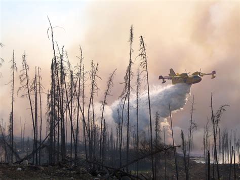 Sault Area Forest Fire Hazard High Sault Ste Marie News