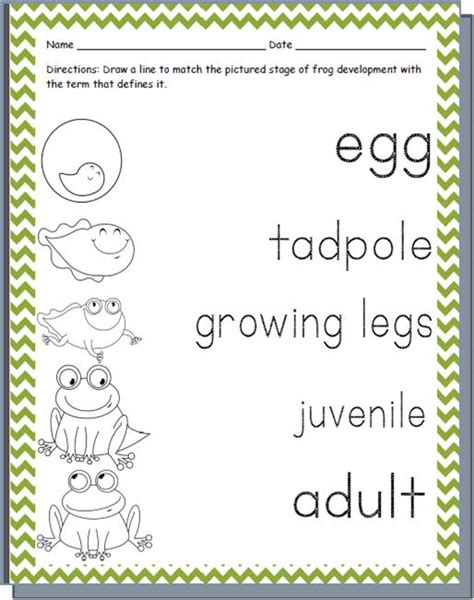 To download our free coloring pages, click on the frog page you'd like to color. Yah's Creatures: Life Cycle of the Frog