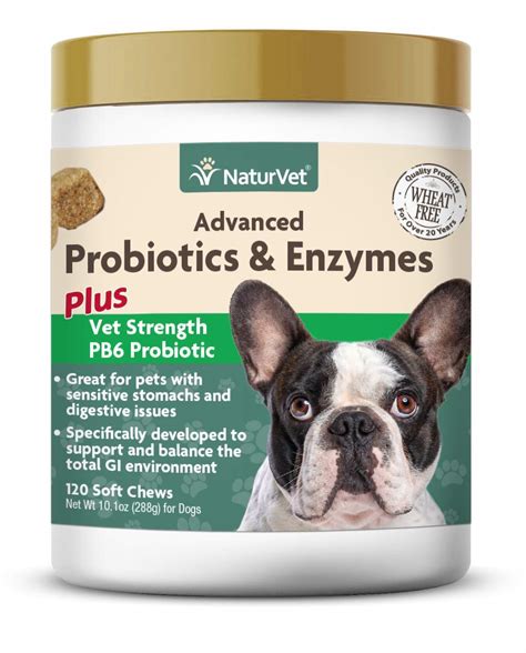 For example, onions and large quantities of garlic are dangerous and should be avoided. Veterinarian Strength Advanced Probiotics, Healthy Enzymes ...