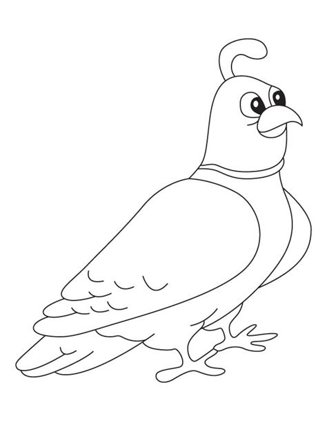 Simple quail coloring page print. Mountain quail coloring page | Download Free Mountain ...