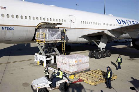 Top 10 Best Air Freight Companies In Usa 2023 Translogistics News