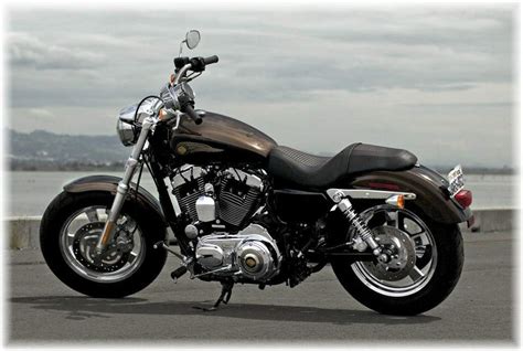 Harley Davidson Xl1200c Custom 110th Anniversary Cyclechaos