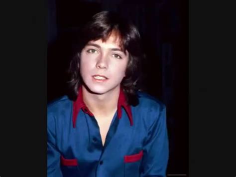 David Cassidy Crazy Memories People Quick Memoirs Souvenirs People Illustration Remember