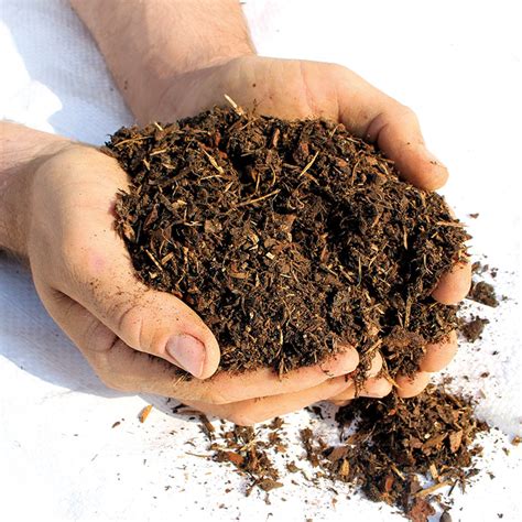 Organic Compost For Sale Online Compost Bulk Bags Premium Topsoil