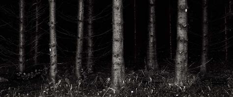 Main Imageexplore 6 Of The Worlds Most Haunted Forests American Forests