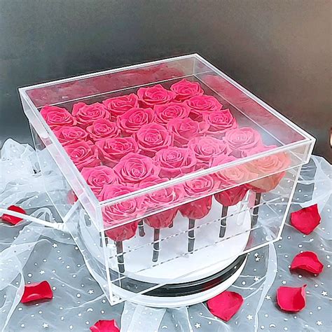 Preserved Rose 100 Natural Preserved Rose Box Clear 25 Holes Acrylic