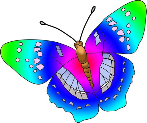 Butterflies Clipart Butterfly Clip Art Vergilis 2 Clipartix