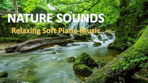 😊relaxing music of nature sounds beautiful soft piano music with forest and ocean ambient