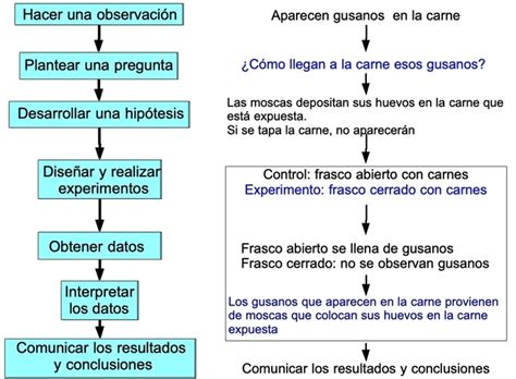 ejemplos de método científico explicados