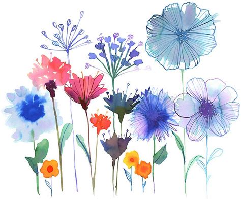 Florida Wildflower Clipart 20 Free Cliparts Download