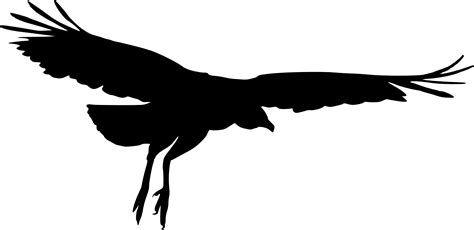 15 Bird Silhouette (PNG Transparent) | OnlyGFX.com New users enjoy 60% off.