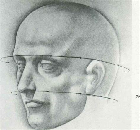 Proportions And Measurements Drawing The Human Head