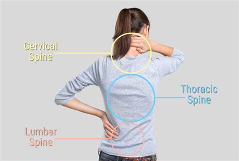 What Are The Major Back Pain Zones
