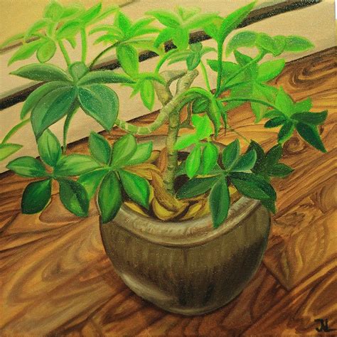 Plant Still Life By Soulexposed On Deviantart