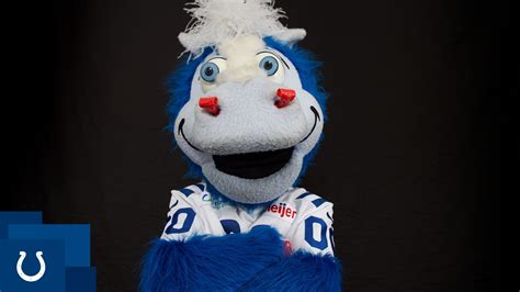 Colts Mascot Blue Biography Indianapolis Colts