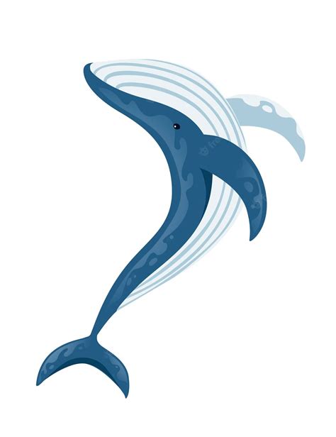 Premium Vector Big Blue Whale Cartoon Animal Design Biggest Mammal On