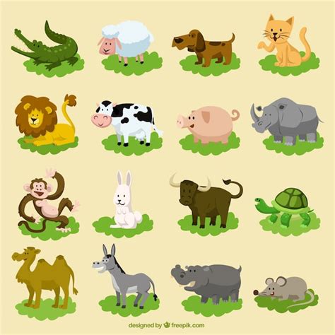 Conjunto De Animales Divertidos Dibujos Animados Descargar Vectores