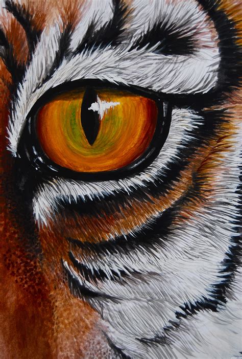 The Eye Of The Tiger Picture By Momof4boyoboys For Tigers Td Drawing