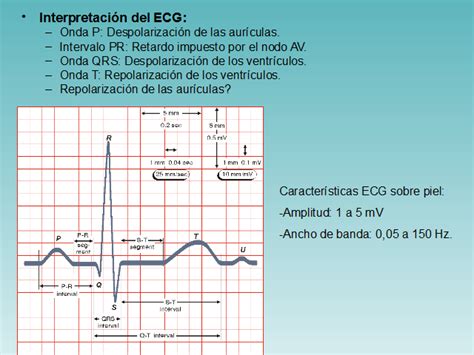 Actividad Eléctrica Del Corazón Ecg Desfibrilación