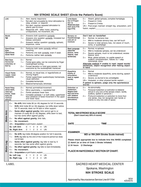 Nih Stroke Scale Pdf Printable Fill Out And Sign