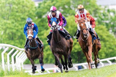 Include (or exclude) self posts. 競馬のレースを沸かせた"変わった名前の競走馬たち"をご紹介 ...