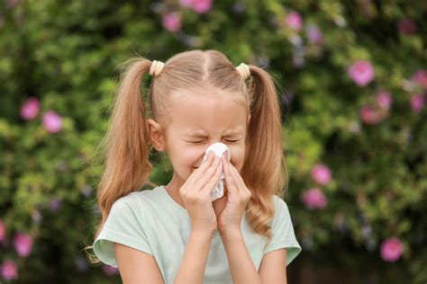 Natural Remedies For Seasonal Allergies Thrive Peds