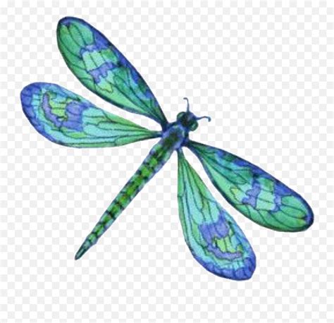 Dragonfly Freetoedit Dragonfly Clipart Emojidragonfly Emoji Free